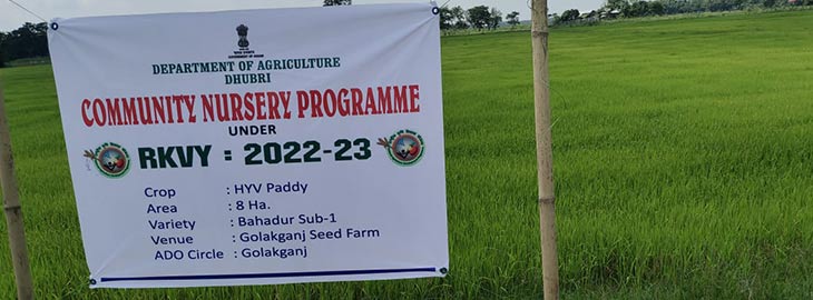 rkvy assam